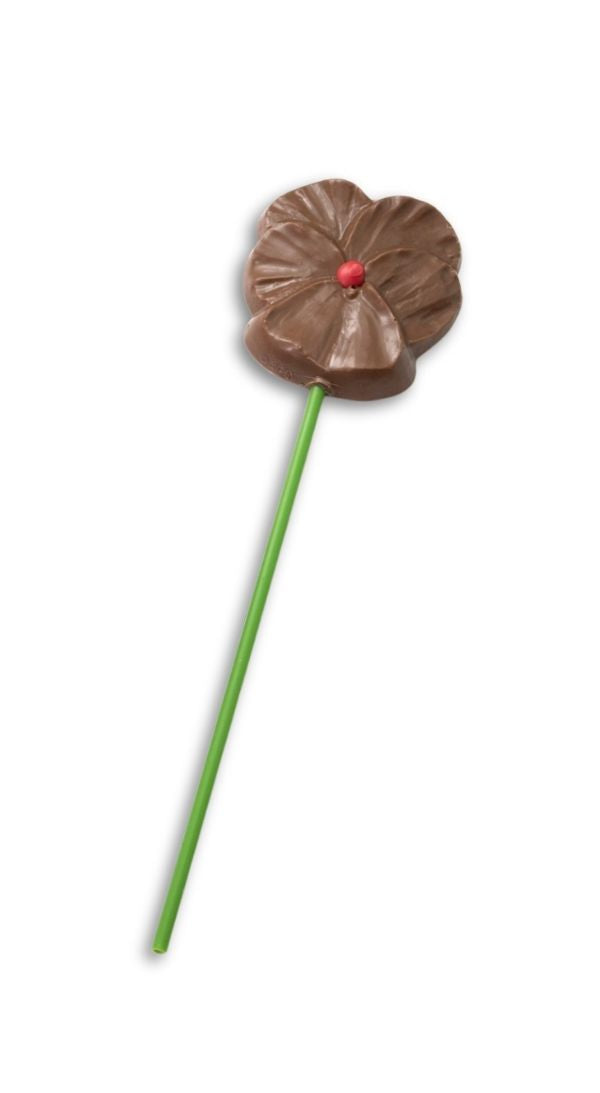 Chocolate Pansy Pop