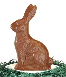 One pound solid chocolate bunny for Easter