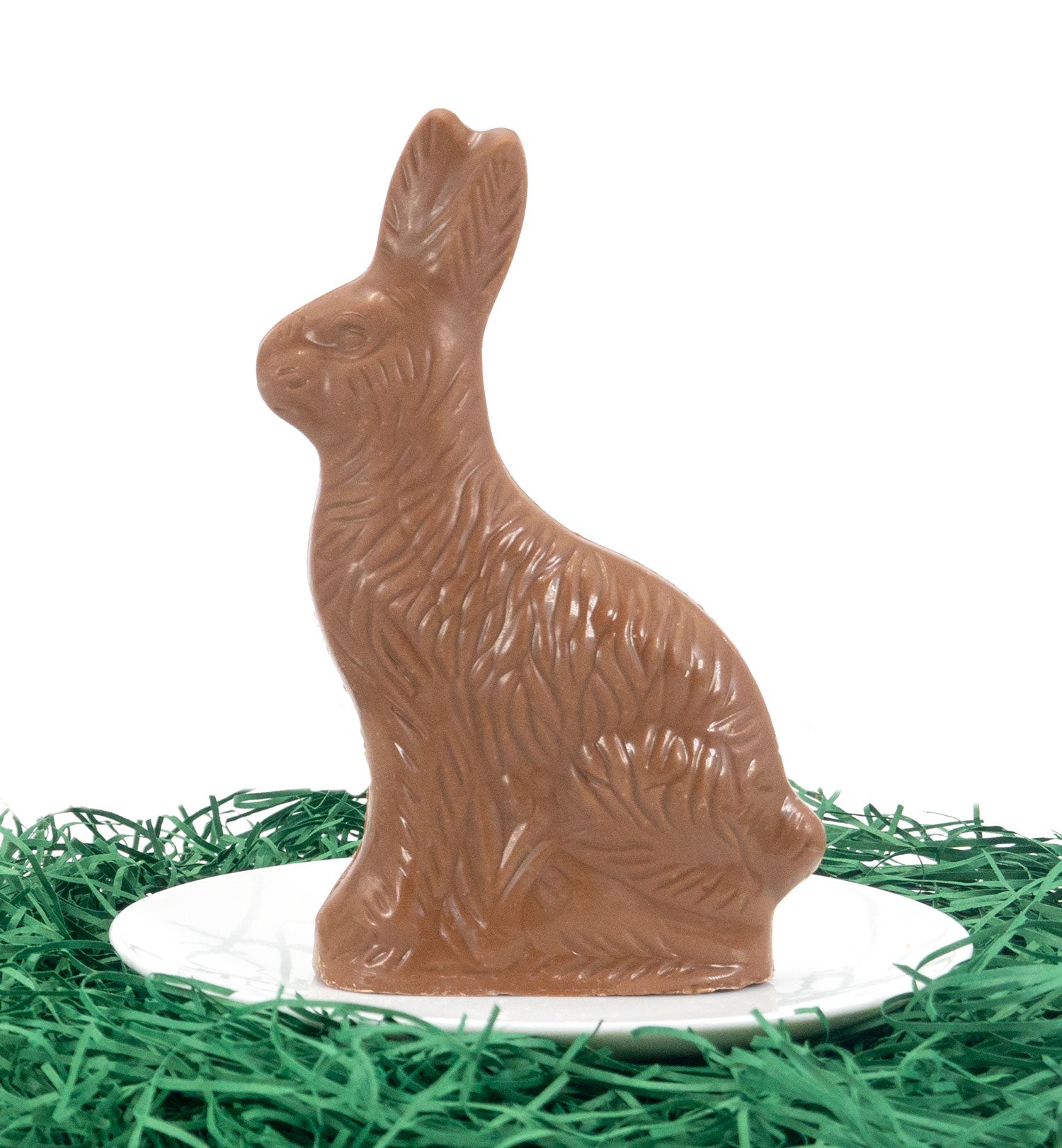 6 oz solid chocolate Easter Bunny 