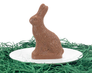 2.5 oz solid chocolate sitting Easter bunny